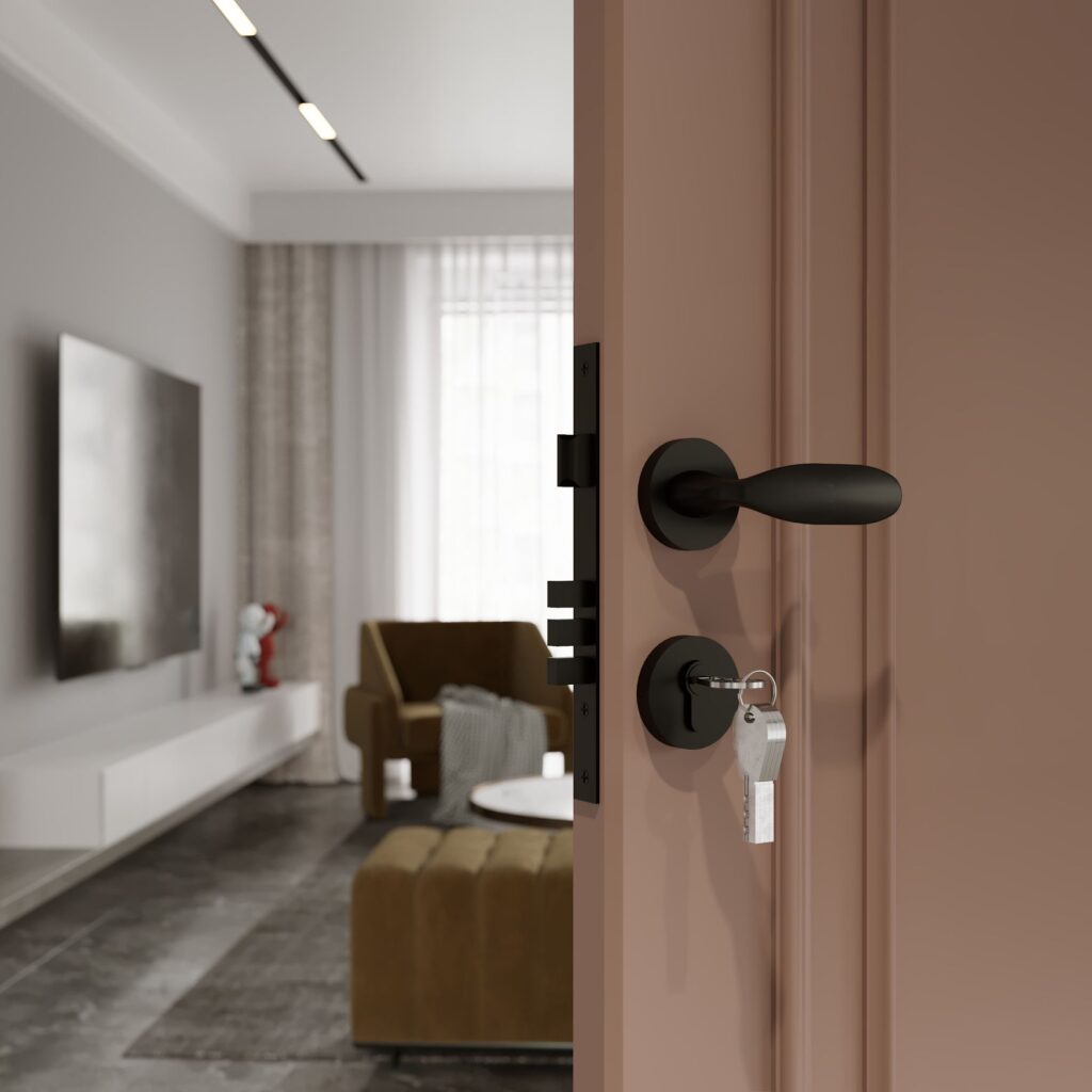 Flybird Interior Brass Mortise Handle FB-ERSA